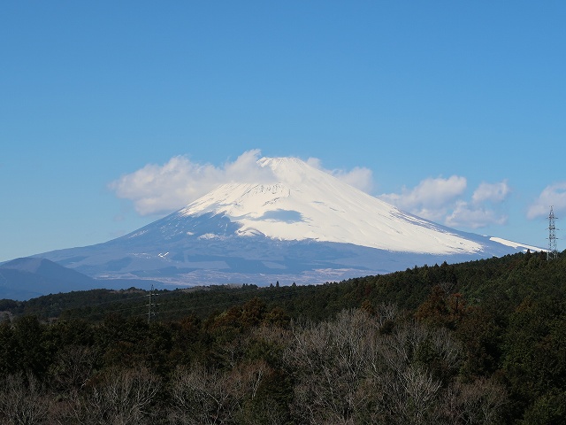 富士山