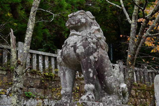 戸隠神社