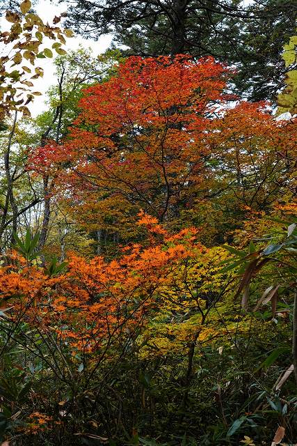 戸隠神社