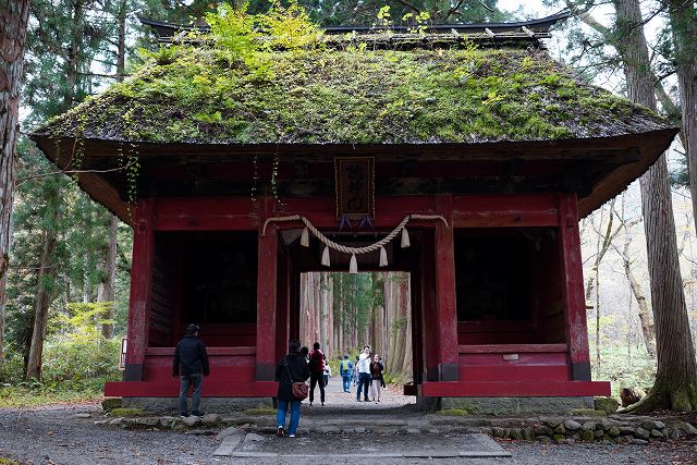 戸隠神社　奥社