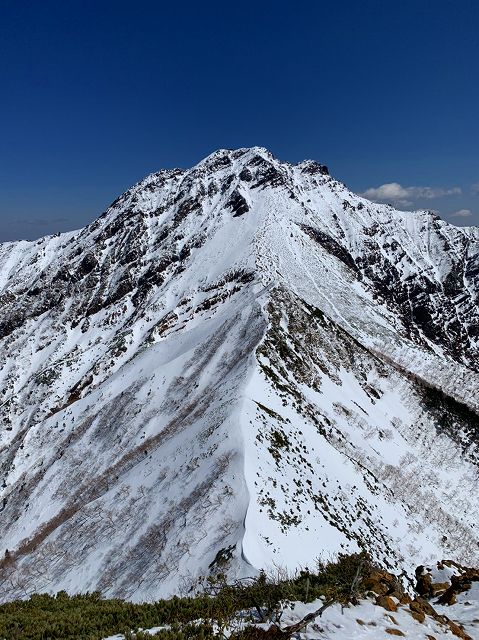 八ヶ岳