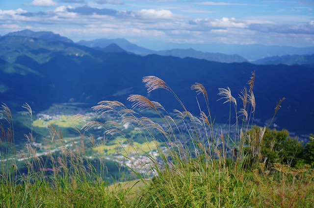 唐松岳